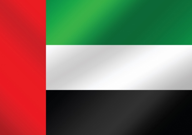 https://coredogroup.fun/wp-content/uploads/2025/06/the-united-arab-emirates-flag-themes-1588673796kap.jpg